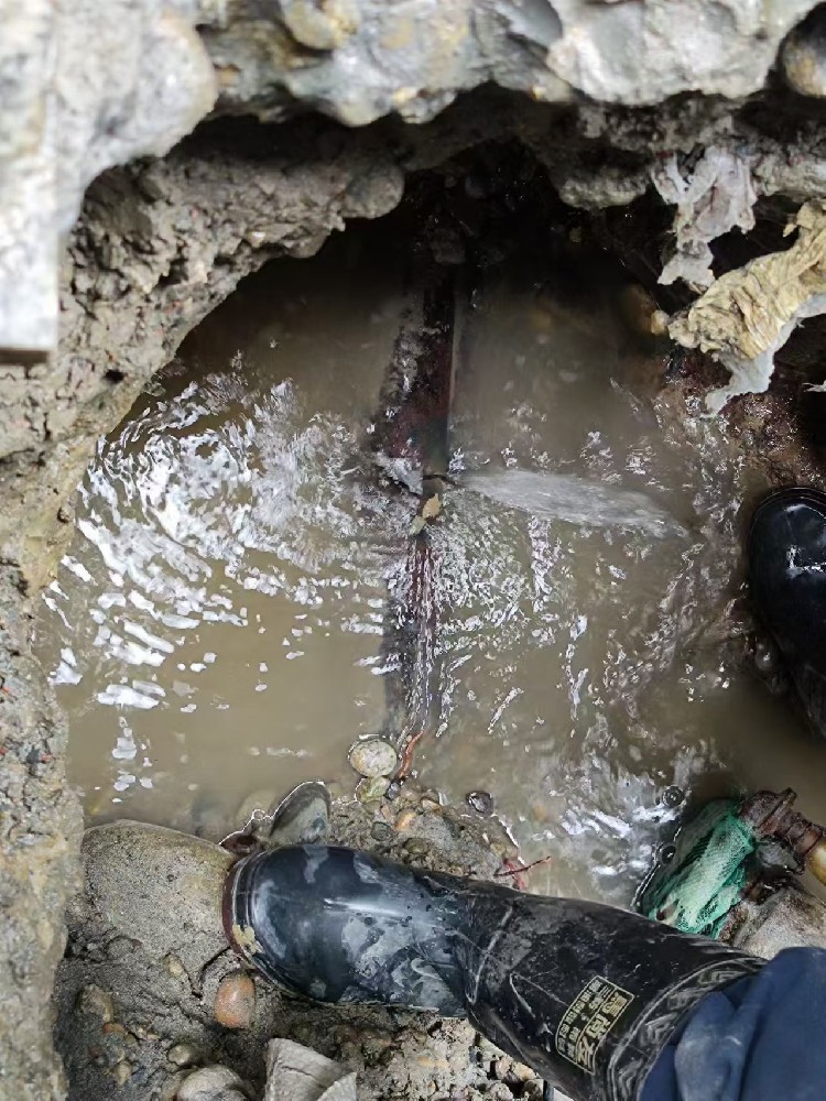 【爱辉区】小区水管漏水检测维修